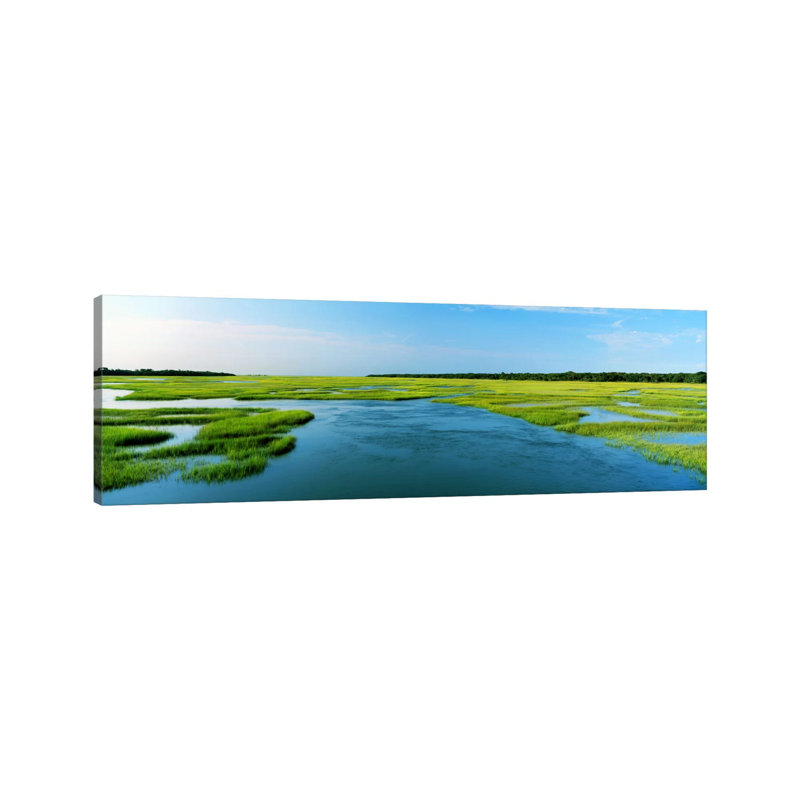 Sea Grass In The Sea, Atlantic Coast, Jacksonville, Florida, USA by Panoramic Images - Wrapped Canvas Panoramic Print