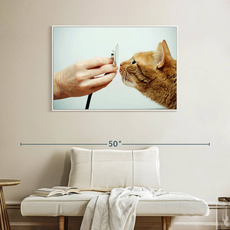 Chat Vet, 40 po x 27 po, Cadre flottant blanc