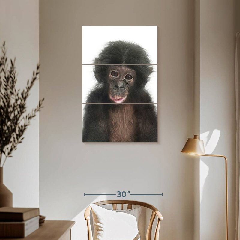 Bébé singe Brampt, H 57 po x l 36 po