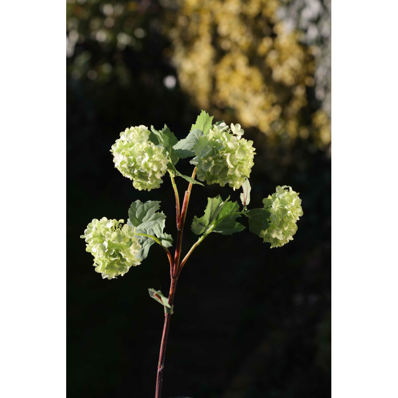 Viburnum Spray, Pale Green