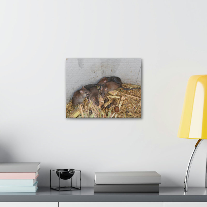 No Frame Print on Canvas