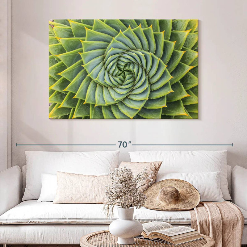 Harnek spirale succulente, H 32 po x l 48 po