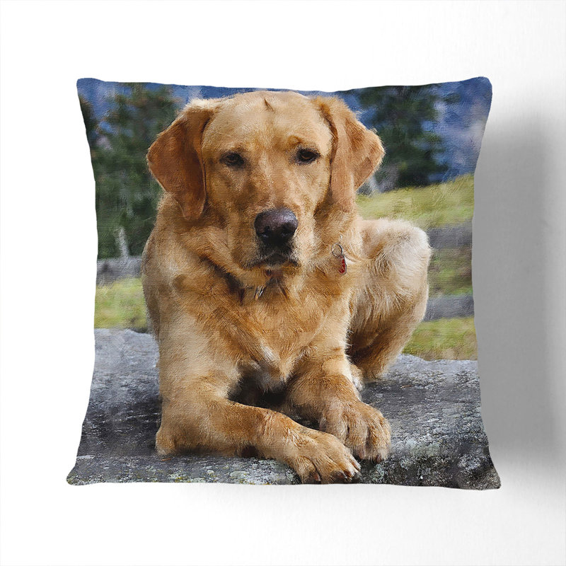 Square Cushion, 55cm H x 55cm W x 20cm D, Black