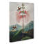 Flowering Plant And Birds by R.J. Thornton - Wrapped Canvas Painting-55364004