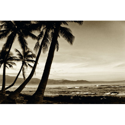 Island Palms III - Wrapped Canvas Print