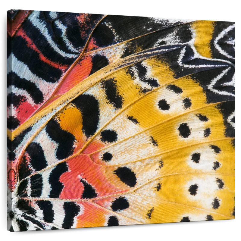 Brampt Monarch Butterfly Wing, 33" H x 33" W