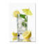 «Mint and Lemon» par Armand, reproduction sur toile-21645567