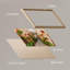 Santorini, Grèce, fleurs roses, gros plan, impression sur papier, 4 pièces-97782349-97782350