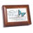 Plastic Memory Box