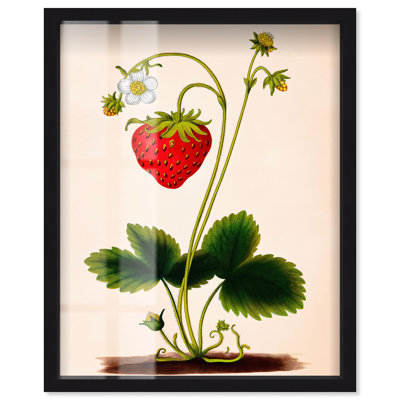 «Strawberry Kitchen Art Shadowbox» par Art Remedy