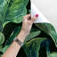 Gavazova Matte Mural-1188294644