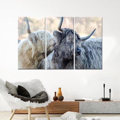 Toile imprimée: Highland Cow Art - Rustic Farmhouse Decor, toile tendue 3P