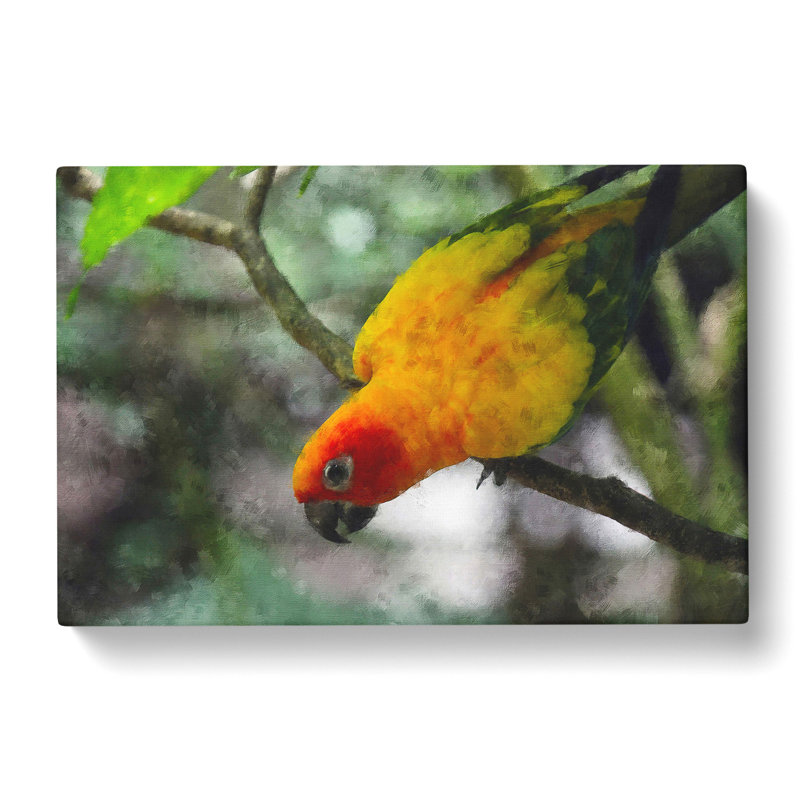 Parrot - Wrapped Canvas, 50cm H x 76cm W x 3cm D