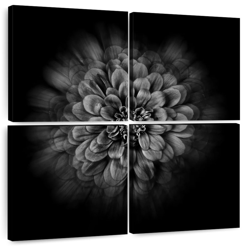 Fleurs Harnek Backyard en noir et blanc IV, H 18 po x l 18 po
