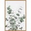 «Eucalyptus Creative 16» par Picufy Studio III, reproduction d'art sur toile encadrée-112655019