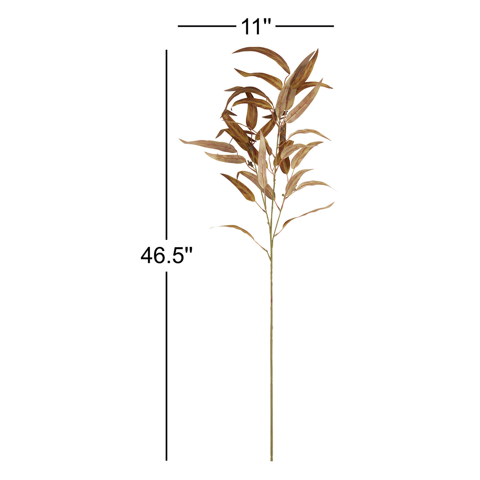 Rimma Eucalyptus Stems