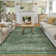Elyria Performance Oriental Area Rug