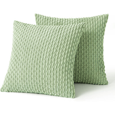 Cozy Throw Pillow Cover 2pcs