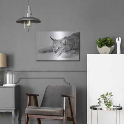 " Lynx 1 " by PhotoINC Studio