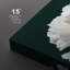 Fleurs vibrantes et élégantes sur fond sombre, photographie de salon minimaliste moderne-102480457-102480456