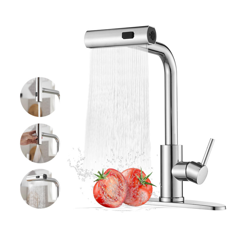 Kitchen Faucet with Pull Down Sprayer, Chrome