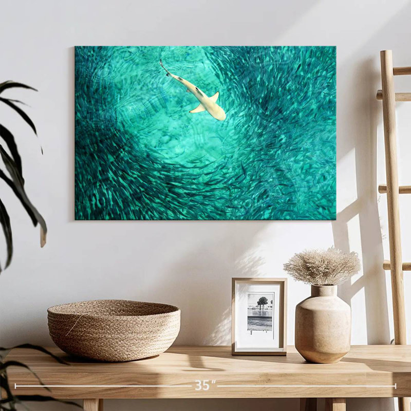 Brampt Shark Prey, 16" H x 24" W