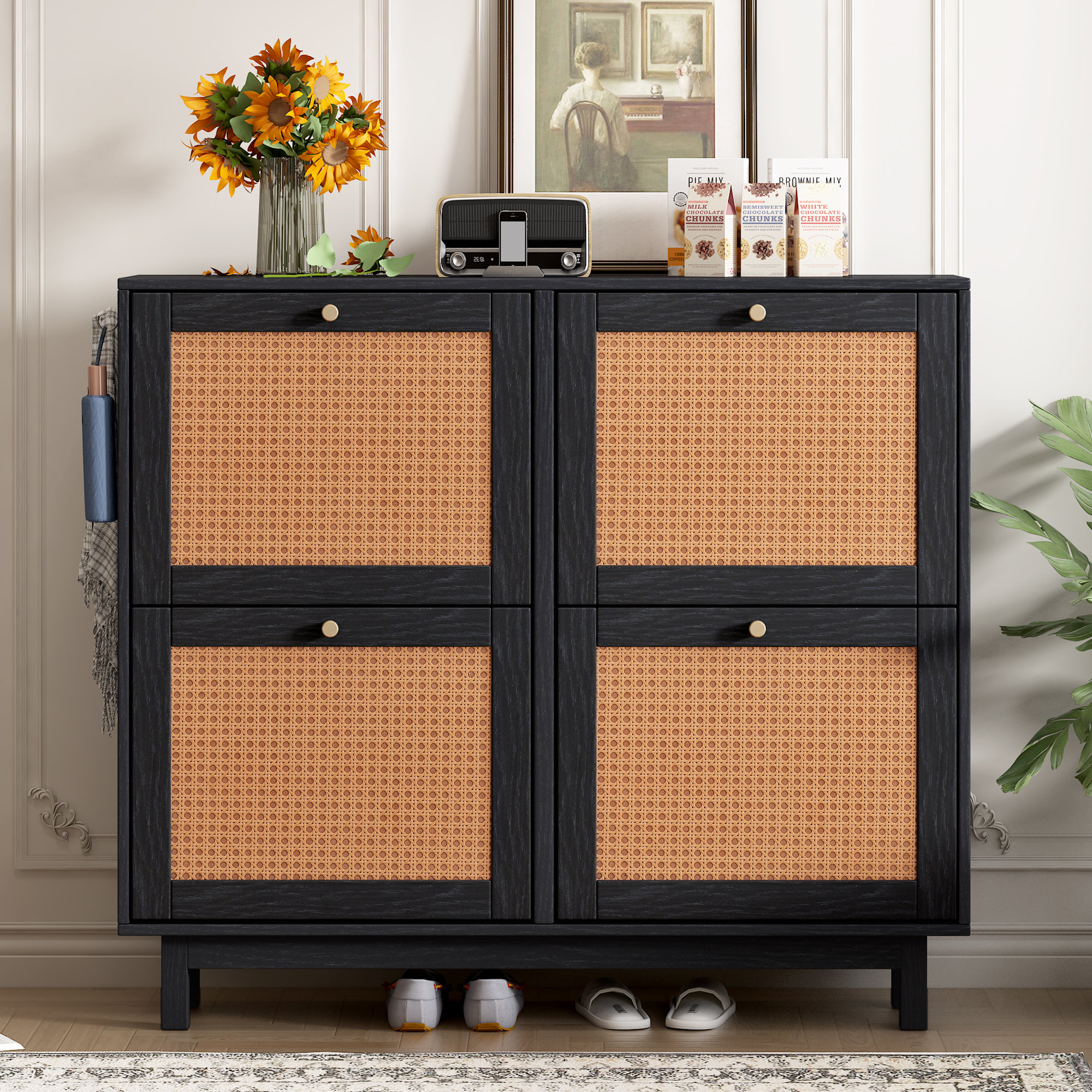 12 Pair Shoe Storage Cabinet Hokku Designs Finish: Black