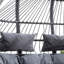 Cando 2 Person Porch Swing with Canopy-1336769646
