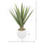 Yucca en pot de Fiberstone