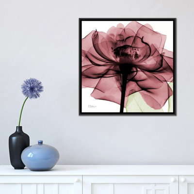 " Chianti Rose II " by Albert Koetsier