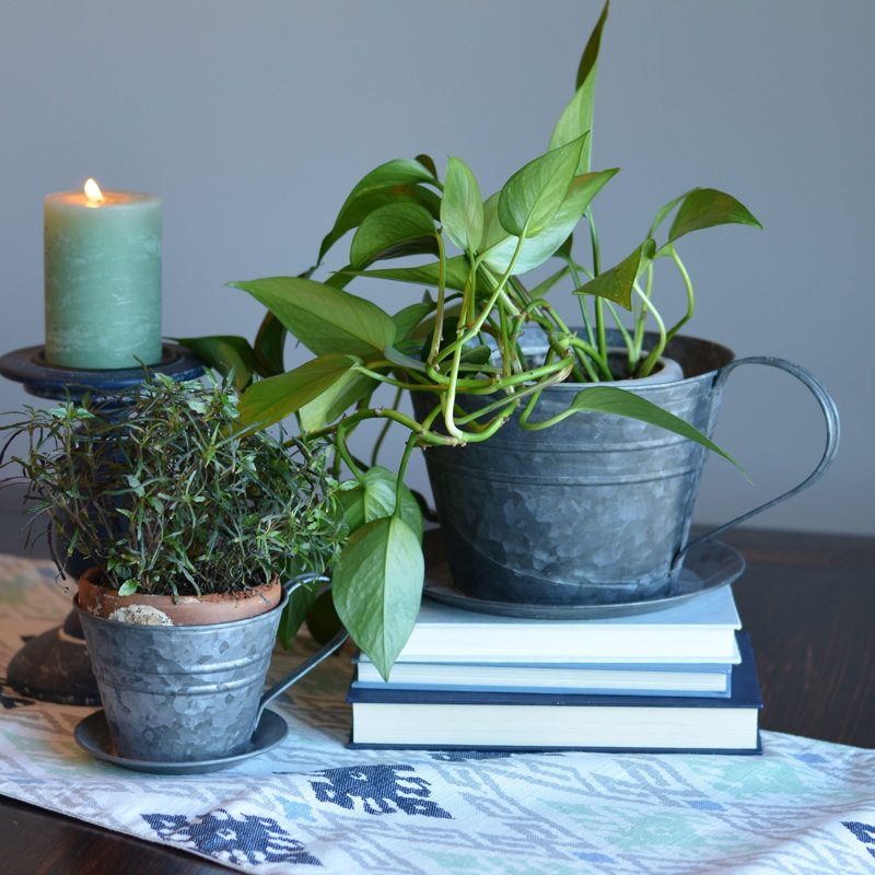 Ensemble de pots à fleurs Aleiha