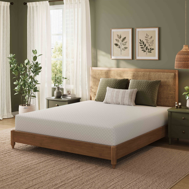 Rodrigue Medium Gel Memory Foam Mattress in a Box Infused with Green Tea, 12", Full