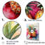 Fusion d'ananas dorés sur toile-1492517437-1492517414