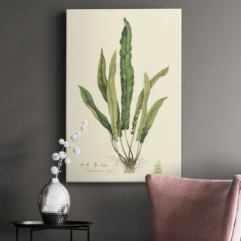 «Curtis Ferns IV», impression sur toile tendue, H 18 po x l 12 po x P 1 po