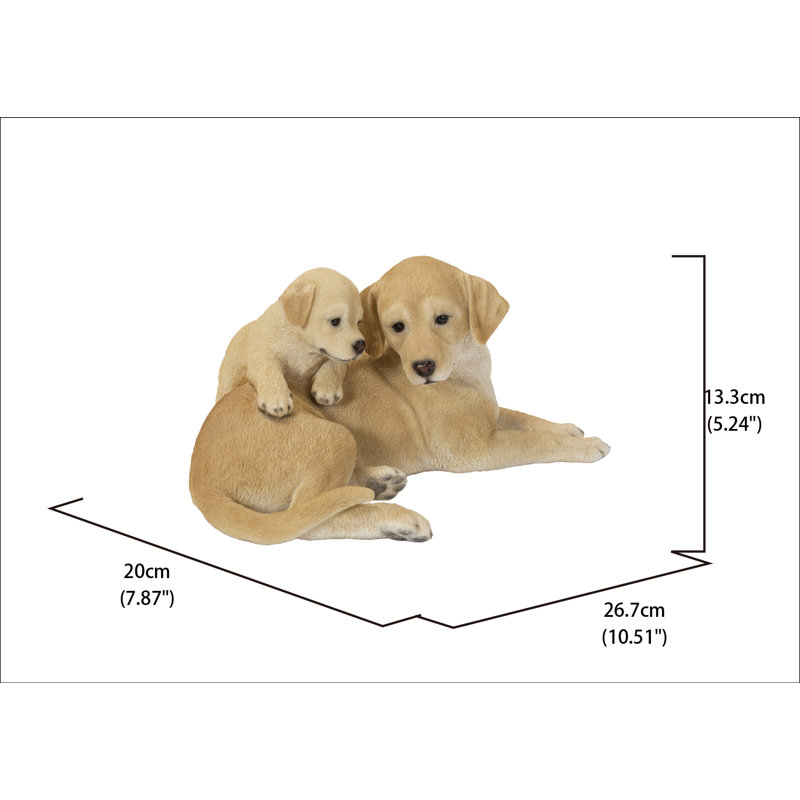Mère et bébé Labrador