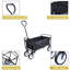 Chariot de chariot 46 H x 20 W