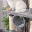 Grady 391.16cm H Cat Tree