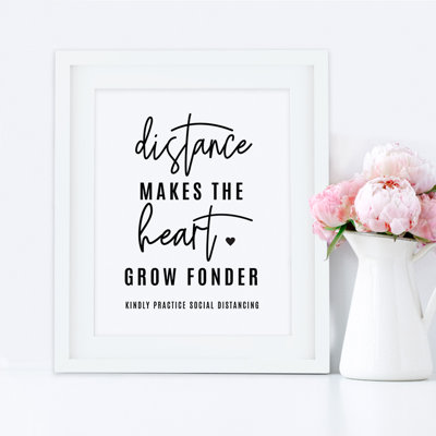 Paper Backdrops & Signs