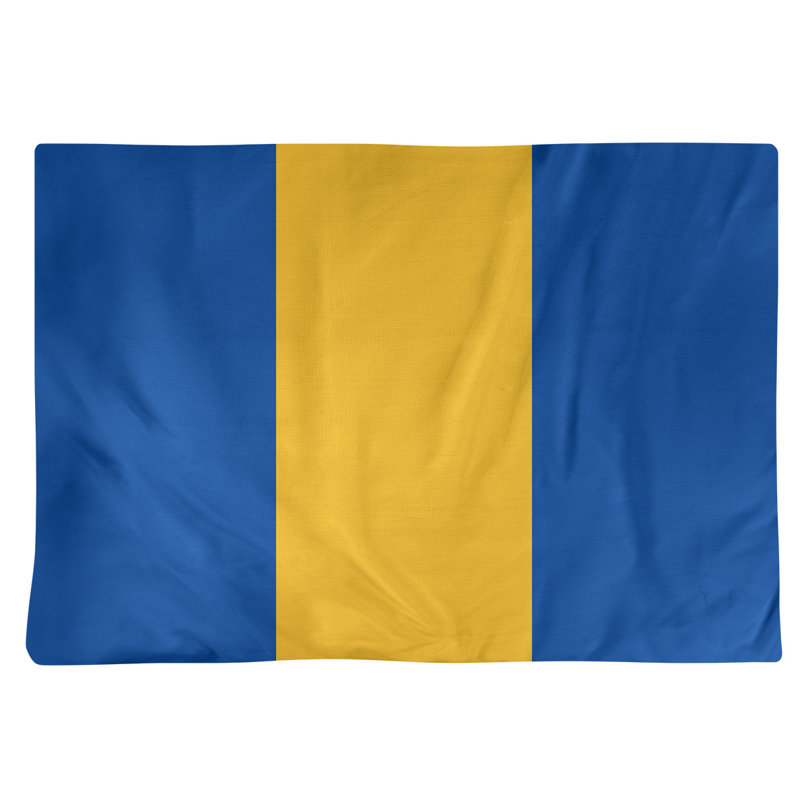 Récapitulatif 14" hockey St. Louis, Bleu royal / doré / bleu royal, Sergé de coton