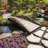 Crescent Japanese Garden Bridge 8 ft.