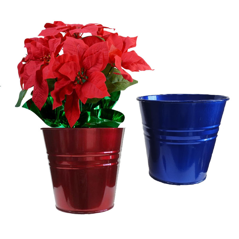 Enameled Galvanized Steel Planter For 6.5" Plants. Set Of Two, Red/Blue