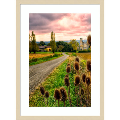 Chateau Tauzia Thistles by Wood Framed Wall Art Print