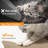 Conlun Cat Scratcher Cardboard Cat Scratch Pad With Premium Scratch Textures Design Durable Cat Scratching Pad Reversible Shark 15.7L X 9W X 2.6H