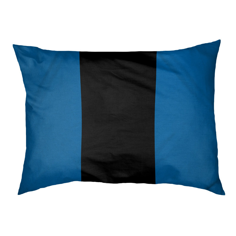 Coussin Designer, Moyen (L 30 po x l 40 po), Bleu / noir / bleu