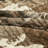 3 Pcs Rustic Polyester Bear Patchwork Quilt Bedspread Set-120886346-120886340