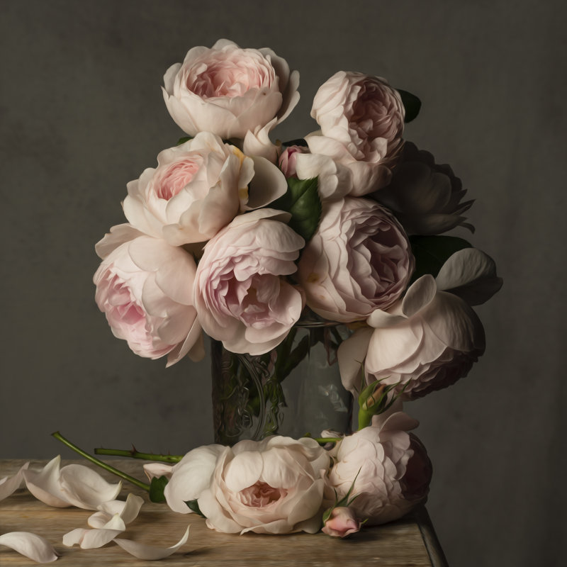 Smitten By Roses by Leah McLean - Wrapped Canvas Print, 30cm H x 30cm W x 3.8cm D
