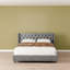 Lit rembourré en velours avec 4 tiroirs de rangement Better Home Products Izayah-812012409-812012295