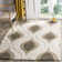 Bryer Shag Performance Geometric Rug