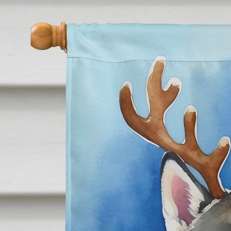 Drapeau de Noël maison de renne, Husky sibérien