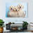Brampt Buffy Biskit And Beau-107853135